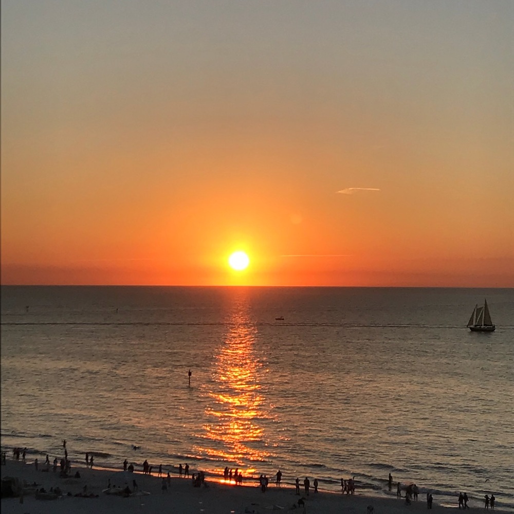 Meet your Posher, Shelley